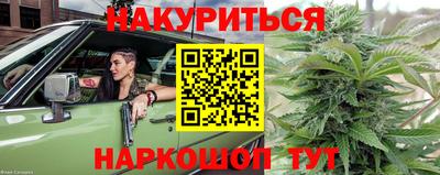 mdpv Заводоуковск