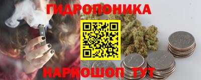 mdpv Заводоуковск