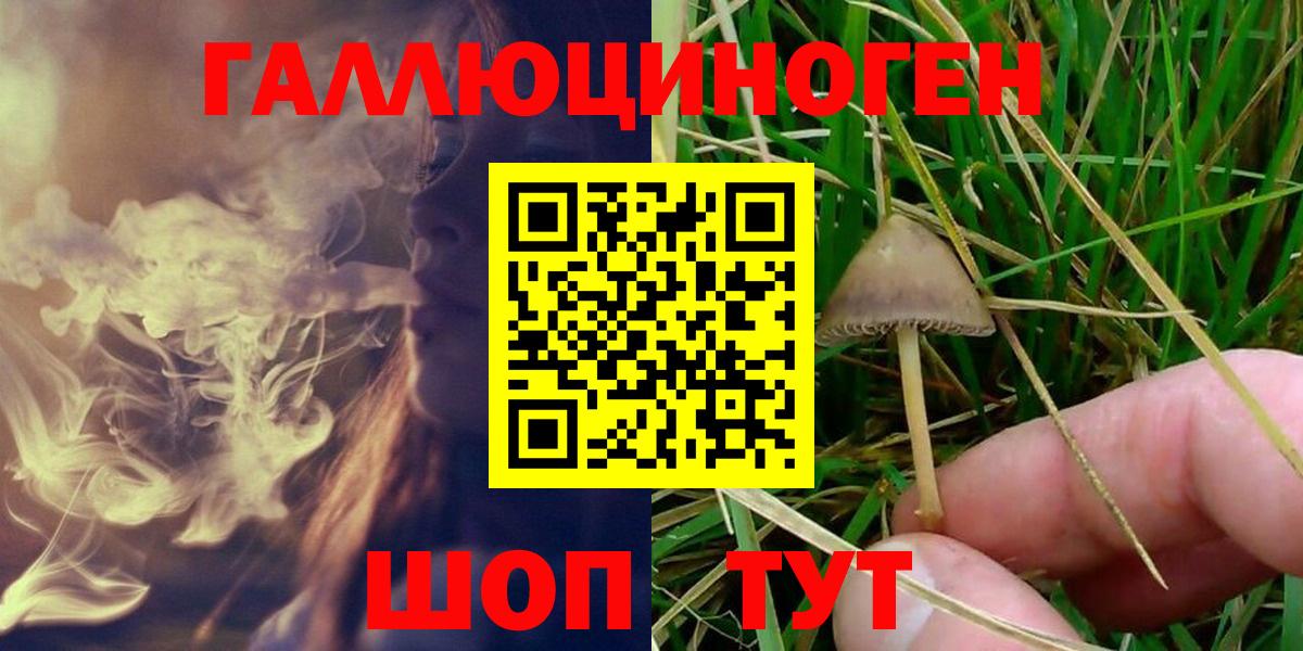 Псилоцибиновые грибы Psilocybine cubensis  Вход с VPN  Красноярск  Псилоцибиновые грибы Magic Shrooms 